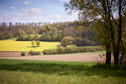 Wolfsschlucht